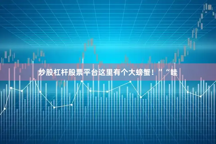 炒股杠杆股票平台这里有个大螃蟹！”“哇
