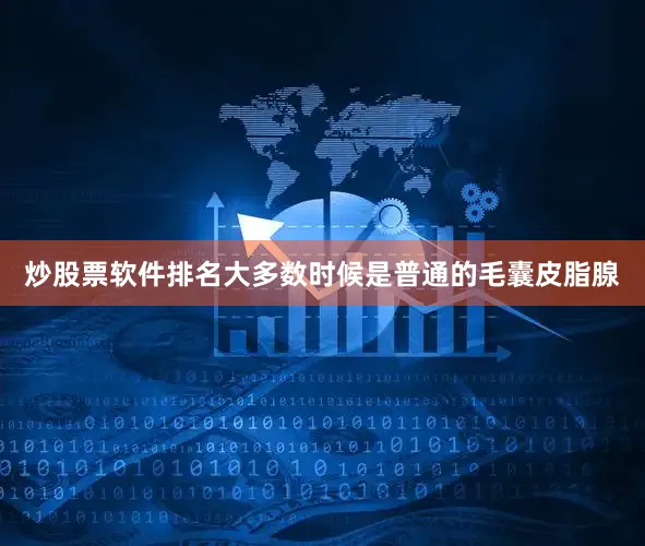 炒股票软件排名大多数时候是普通的毛囊皮脂腺