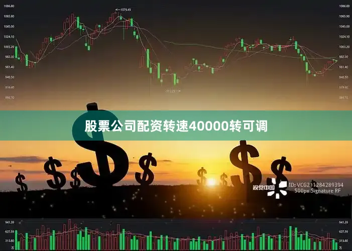 股票公司配资转速40000转可调